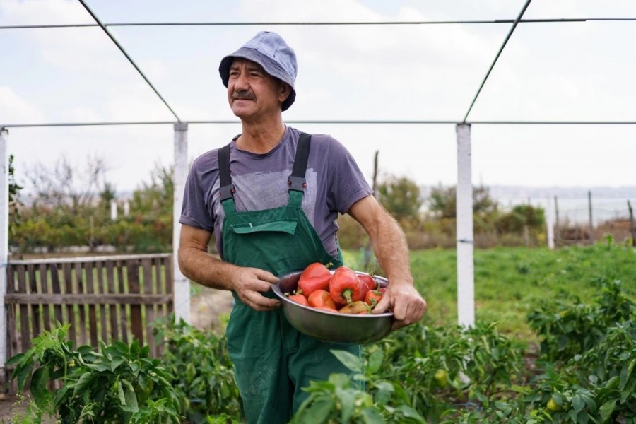 Orti urbani per anziani