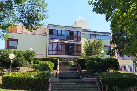 villa-serena-lonigo-casa-di-riposo
