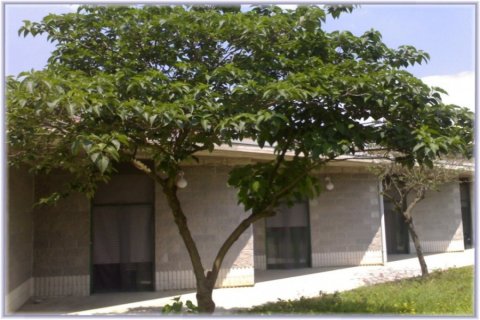 Residenza Il Glicine di Sale - Casa di Riposo